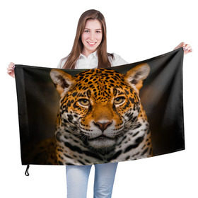 Флаг 3D с принтом Jaguar в Белгороде, 100% полиэстер | плотность ткани — 95 г/м2, размер — 67 х 109 см. Принт наносится с одной стороны | глаза | дикая кошка | кошка | леопард | сафари | хищник | ягуар