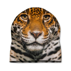 Шапка 3D с принтом Jaguar в Белгороде, 100% полиэстер | универсальный размер, печать по всей поверхности изделия | глаза | дикая кошка | кошка | леопард | сафари | хищник | ягуар