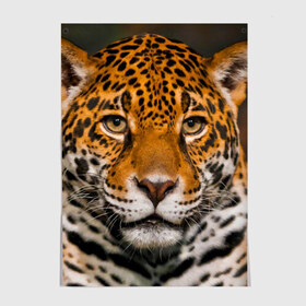 Постер с принтом Jaguar в Белгороде, 100% бумага
 | бумага, плотность 150 мг. Матовая, но за счет высокого коэффициента гладкости имеет небольшой блеск и дает на свету блики, но в отличии от глянцевой бумаги не покрыта лаком | глаза | дикая кошка | кошка | леопард | сафари | хищник | ягуар