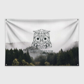 Флаг-баннер с принтом Twin Peaks в Белгороде, 100% полиэстер | размер 67 х 109 см, плотность ткани — 95 г/м2; по краям флага есть четыре люверса для крепления | twin peaks твин пикс | девид линч | лес | лора палмер | сова | туман