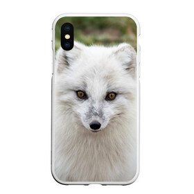 Чехол для iPhone XS Max матовый с принтом White Fox в Белгороде, Силикон | Область печати: задняя сторона чехла, без боковых панелей | fox | red | лиса | лисенок | рыжая