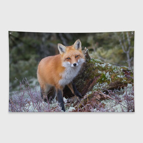 Флаг-баннер с принтом Лес в Белгороде, 100% полиэстер | размер 67 х 109 см, плотность ткани — 95 г/м2; по краям флага есть четыре люверса для крепления | fox | red | лиса | лисенок | рыжая
