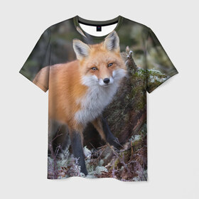 Мужская футболка 3D с принтом Лес в Белгороде, 100% полиэфир | прямой крой, круглый вырез горловины, длина до линии бедер | Тематика изображения на принте: fox | red | лиса | лисенок | рыжая