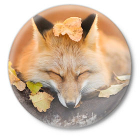 Значок с принтом Соня в Белгороде,  металл | круглая форма, металлическая застежка в виде булавки | Тематика изображения на принте: fox | red | лиса | лисенок | рыжая