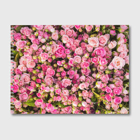 Альбом для рисования с принтом Розовый рай в Белгороде, 100% бумага
 | матовая бумага, плотность 200 мг. | Тематика изображения на принте: бутон | лепестки | роза | розовый | розочка | цветок | цветы