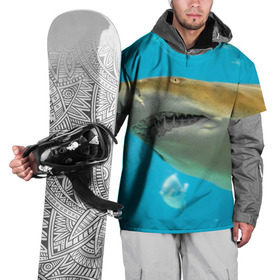 Накидка на куртку 3D с принтом Тигровая акула в Белгороде, 100% полиэстер |  | голубое море | океан | рыба
