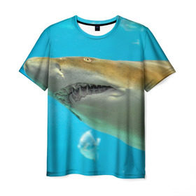 Мужская футболка 3D с принтом Тигровая акула в Белгороде, 100% полиэфир | прямой крой, круглый вырез горловины, длина до линии бедер | голубое море | океан | рыба