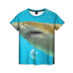 Женская футболка 3D с принтом Тигровая акула в Белгороде, 100% полиэфир ( синтетическое хлопкоподобное полотно) | прямой крой, круглый вырез горловины, длина до линии бедер | голубое море | океан | рыба