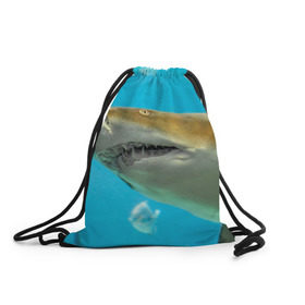 Рюкзак-мешок 3D с принтом Тигровая акула в Белгороде, 100% полиэстер | плотность ткани — 200 г/м2, размер — 35 х 45 см; лямки — толстые шнурки, застежка на шнуровке, без карманов и подкладки | Тематика изображения на принте: голубое море | океан | рыба