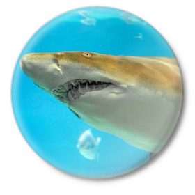 Значок с принтом Тигровая акула в Белгороде,  металл | круглая форма, металлическая застежка в виде булавки | голубое море | океан | рыба