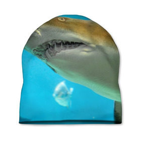 Шапка 3D с принтом Тигровая акула в Белгороде, 100% полиэстер | универсальный размер, печать по всей поверхности изделия | Тематика изображения на принте: голубое море | океан | рыба