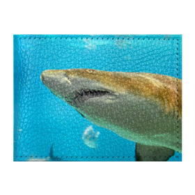 Обложка для студенческого билета с принтом Тигровая акула в Белгороде, натуральная кожа | Размер: 11*8 см; Печать на всей внешней стороне | голубое море | океан | рыба