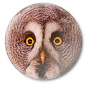 Значок с принтом Кофе в Белгороде,  металл | круглая форма, металлическая застежка в виде булавки | owl | мудрость | птица | сова | филин
