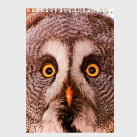 Скетчбук с принтом Кофе в Белгороде, 100% бумага
 | 48 листов, плотность листов — 100 г/м2, плотность картонной обложки — 250 г/м2. Листы скреплены сверху удобной пружинной спиралью | Тематика изображения на принте: owl | мудрость | птица | сова | филин