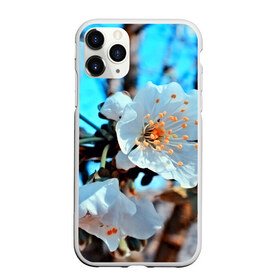 Чехол для iPhone 11 Pro Max матовый с принтом Весна в Белгороде, Силикон |  | 3d | flower | весна | другие | красивые цветы | красные | лето | поле | полевой цветок | прикольные | природа | текстуры | цветочки | цветы