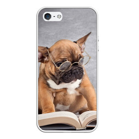 Чехол для iPhone 5/5S матовый с принтом Читает в Белгороде, Силикон | Область печати: задняя сторона чехла, без боковых панелей | dog | мопс | пес | собака