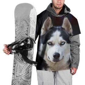 Накидка на куртку 3D с принтом Хаски в Белгороде, 100% полиэстер |  | Тематика изображения на принте: dog | лабрадор | мопс | пес | собака | такса | хаски | щеночек