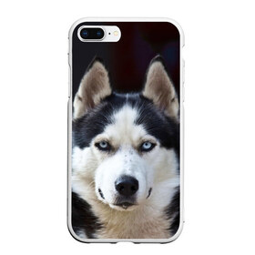 Чехол для iPhone 7Plus/8 Plus матовый с принтом Хаски в Белгороде, Силикон | Область печати: задняя сторона чехла, без боковых панелей | dog | лабрадор | мопс | пес | собака | такса | хаски | щеночек