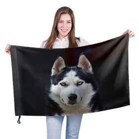 Флаг 3D с принтом Хаски в Белгороде, 100% полиэстер | плотность ткани — 95 г/м2, размер — 67 х 109 см. Принт наносится с одной стороны | Тематика изображения на принте: dog | лабрадор | мопс | пес | собака | такса | хаски | щеночек