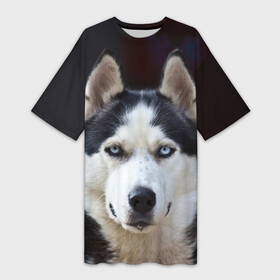 Платье-футболка 3D с принтом Хаски в Белгороде,  |  | dog | лабрадор | мопс | пес | собака | такса | хаски | щеночек