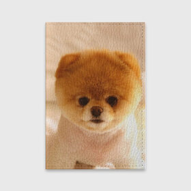 Обложка для паспорта матовая кожа с принтом Пушистик в Белгороде, натуральная матовая кожа | размер 19,3 х 13,7 см; прозрачные пластиковые крепления | Тематика изображения на принте: dog | пес | померанский | собака | шпиц | щеночек