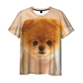 Мужская футболка 3D с принтом Пушистик в Белгороде, 100% полиэфир | прямой крой, круглый вырез горловины, длина до линии бедер | dog | пес | померанский | собака | шпиц | щеночек