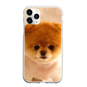 Чехол для iPhone 11 Pro матовый с принтом Пушистик в Белгороде, Силикон |  | Тематика изображения на принте: dog | пес | померанский | собака | шпиц | щеночек