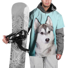 Накидка на куртку 3D с принтом Blue в Белгороде, 100% полиэстер |  | Тематика изображения на принте: dog | бандит | пес | собака | хаски | хаски бандит | щеночек