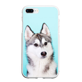 Чехол для iPhone 7Plus/8 Plus матовый с принтом Blue в Белгороде, Силикон | Область печати: задняя сторона чехла, без боковых панелей | dog | бандит | пес | собака | хаски | хаски бандит | щеночек