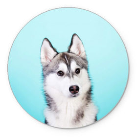 Коврик круглый с принтом Blue в Белгороде, резина и полиэстер | круглая форма, изображение наносится на всю лицевую часть | dog | бандит | пес | собака | хаски | хаски бандит | щеночек