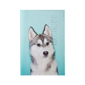 Обложка для паспорта матовая кожа с принтом Blue в Белгороде, натуральная матовая кожа | размер 19,3 х 13,7 см; прозрачные пластиковые крепления | dog | бандит | пес | собака | хаски | хаски бандит | щеночек