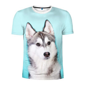 Мужская футболка 3D спортивная с принтом Blue в Белгороде, 100% полиэстер с улучшенными характеристиками | приталенный силуэт, круглая горловина, широкие плечи, сужается к линии бедра | dog | бандит | пес | собака | хаски | хаски бандит | щеночек