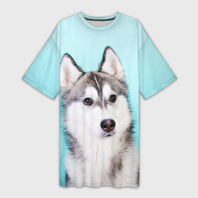 Платье-футболка 3D с принтом Blue в Белгороде,  |  | dog | бандит | пес | собака | хаски | хаски бандит | щеночек