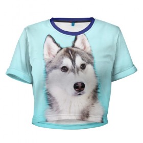 Женская футболка 3D укороченная с принтом Blue в Белгороде, 100% полиэстер | круглая горловина, длина футболки до линии талии, рукава с отворотами | dog | бандит | пес | собака | хаски | хаски бандит | щеночек