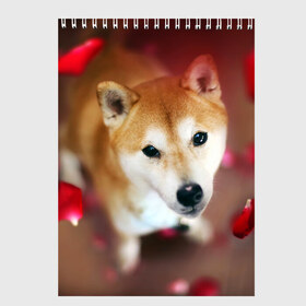 Скетчбук с принтом Love в Белгороде, 100% бумага
 | 48 листов, плотность листов — 100 г/м2, плотность картонной обложки — 250 г/м2. Листы скреплены сверху удобной пружинной спиралью | Тематика изображения на принте: dog | ину | пес | сиба | сиба ину | собака