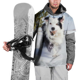 Накидка на куртку 3D с принтом Snow в Белгороде, 100% полиэстер |  | dog | бордер | бордер колли | колли | пес | собака