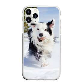 Чехол для iPhone 11 Pro матовый с принтом Snow в Белгороде, Силикон |  | Тематика изображения на принте: dog | бордер | бордер колли | колли | пес | собака