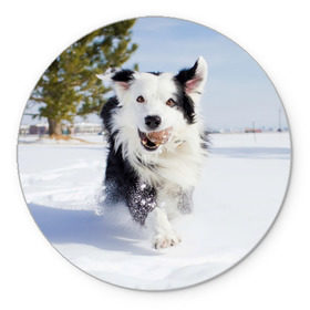 Коврик круглый с принтом Snow в Белгороде, резина и полиэстер | круглая форма, изображение наносится на всю лицевую часть | dog | бордер | бордер колли | колли | пес | собака