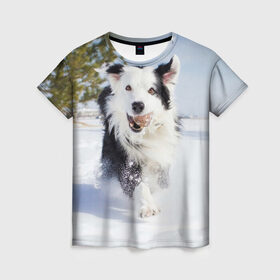 Женская футболка 3D с принтом Snow в Белгороде, 100% полиэфир ( синтетическое хлопкоподобное полотно) | прямой крой, круглый вырез горловины, длина до линии бедер | dog | бордер | бордер колли | колли | пес | собака