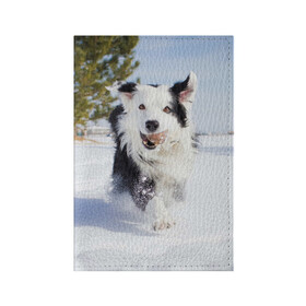 Обложка для паспорта матовая кожа с принтом Snow в Белгороде, натуральная матовая кожа | размер 19,3 х 13,7 см; прозрачные пластиковые крепления | Тематика изображения на принте: dog | бордер | бордер колли | колли | пес | собака