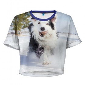 Женская футболка 3D укороченная с принтом Snow в Белгороде, 100% полиэстер | круглая горловина, длина футболки до линии талии, рукава с отворотами | dog | бордер | бордер колли | колли | пес | собака