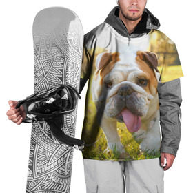 Накидка на куртку 3D с принтом Funny Dog в Белгороде, 100% полиэстер |  | dog | английский бульдог | пес | собака