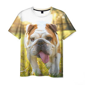 Мужская футболка 3D с принтом Funny Dog в Белгороде, 100% полиэфир | прямой крой, круглый вырез горловины, длина до линии бедер | Тематика изображения на принте: dog | английский бульдог | пес | собака