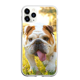 Чехол для iPhone 11 Pro матовый с принтом Funny Dog в Белгороде, Силикон |  | dog | английский бульдог | пес | собака