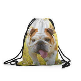 Рюкзак-мешок 3D с принтом Funny Dog в Белгороде, 100% полиэстер | плотность ткани — 200 г/м2, размер — 35 х 45 см; лямки — толстые шнурки, застежка на шнуровке, без карманов и подкладки | Тематика изображения на принте: dog | английский бульдог | пес | собака