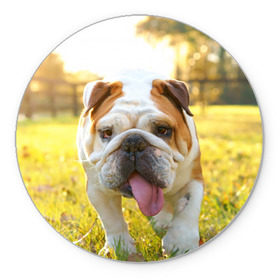 Коврик круглый с принтом Funny Dog в Белгороде, резина и полиэстер | круглая форма, изображение наносится на всю лицевую часть | dog | английский бульдог | пес | собака