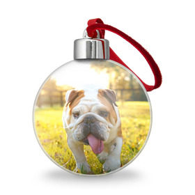 Ёлочный шар с принтом Funny Dog в Белгороде, Пластик | Диаметр: 77 мм | Тематика изображения на принте: dog | английский бульдог | пес | собака
