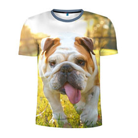 Мужская футболка 3D спортивная с принтом Funny Dog в Белгороде, 100% полиэстер с улучшенными характеристиками | приталенный силуэт, круглая горловина, широкие плечи, сужается к линии бедра | Тематика изображения на принте: dog | английский бульдог | пес | собака