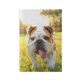 Обложка для паспорта матовая кожа с принтом Funny Dog в Белгороде, натуральная матовая кожа | размер 19,3 х 13,7 см; прозрачные пластиковые крепления | Тематика изображения на принте: dog | английский бульдог | пес | собака