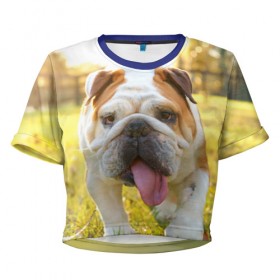 Женская футболка 3D укороченная с принтом Funny Dog в Белгороде, 100% полиэстер | круглая горловина, длина футболки до линии талии, рукава с отворотами | dog | английский бульдог | пес | собака